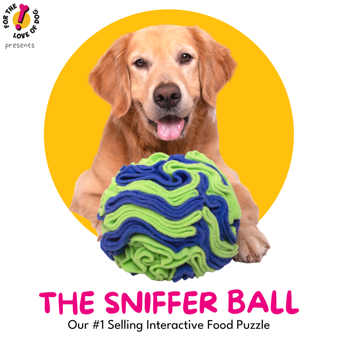 For the love of Dog - Sniffer Ball