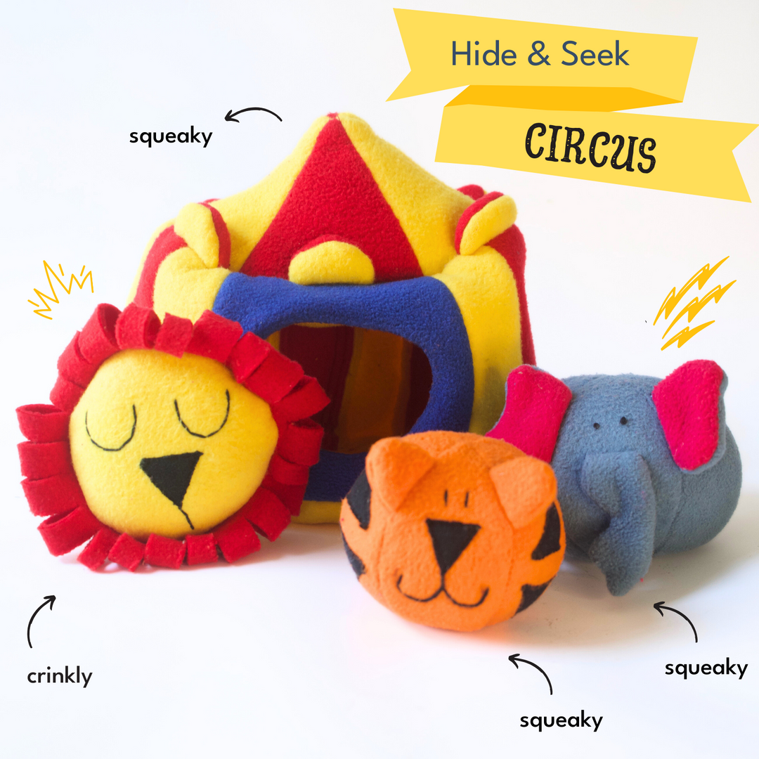 Hide & Seek Squeaky Circus