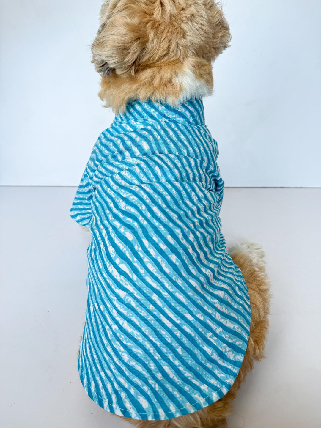 Pawgy Pets Lehriya Kurta: Blue for Dogs