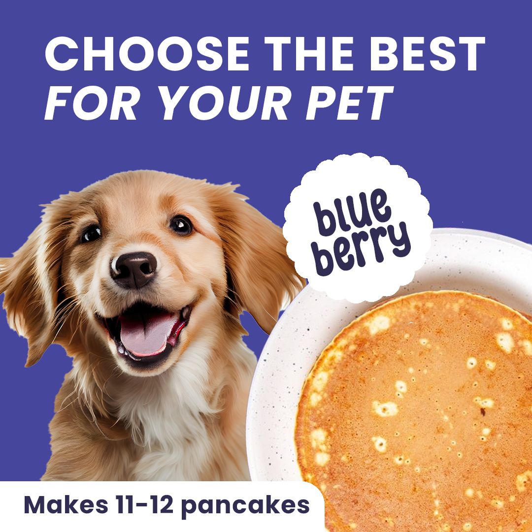 Pancake Mix for Dogs Blueberry 250gm