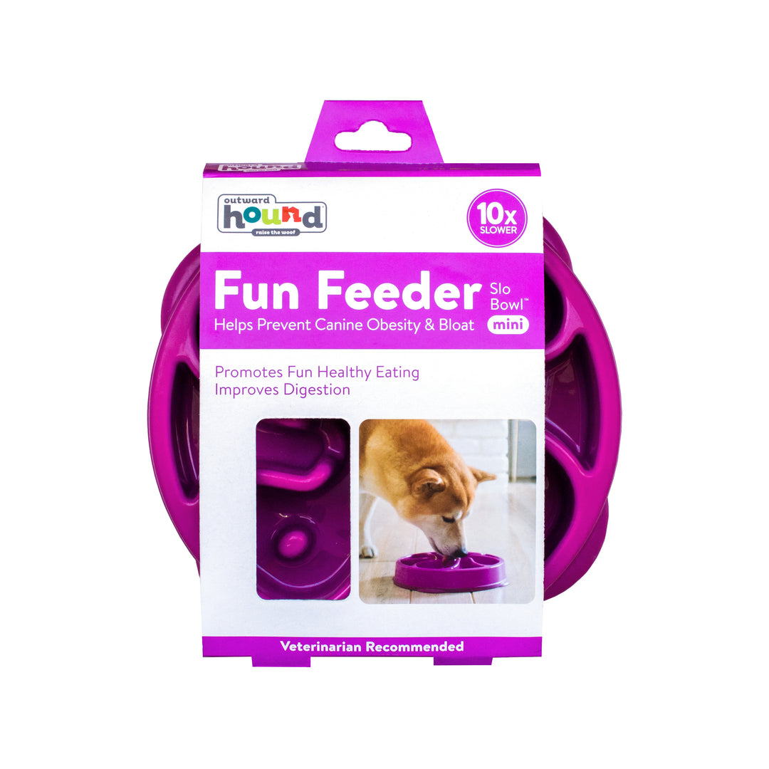 Fun Feeder Mini Slow Feed Bowl