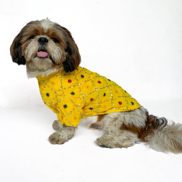 Pawgy Pets Festive Shirt Yellow for Dogs