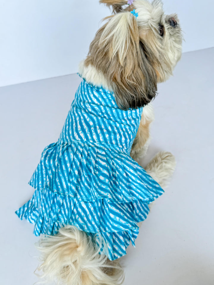 Pawgy Pets Lehriya Dress Blue for Dogs