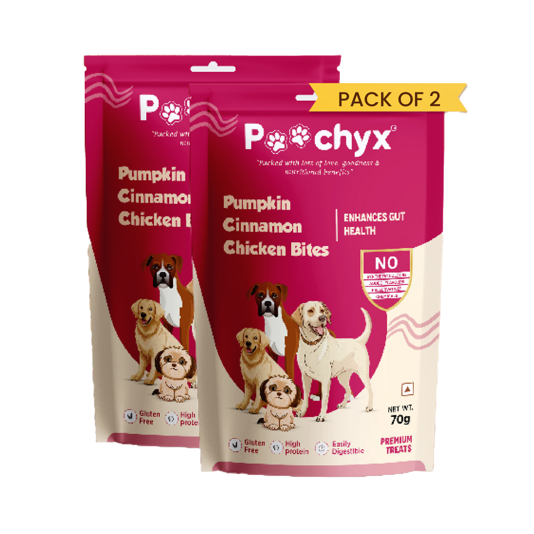 POOCHYX Pumpkin Cinnamon Chicken Bites - Enhances Gut Health