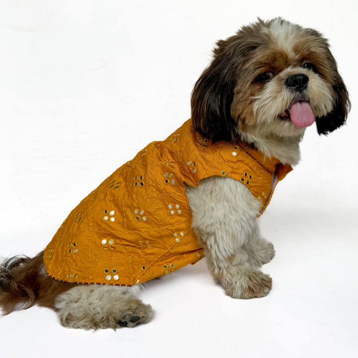 Pawgy Pets Festive Shirt Mustard Mirror Work for Dogs