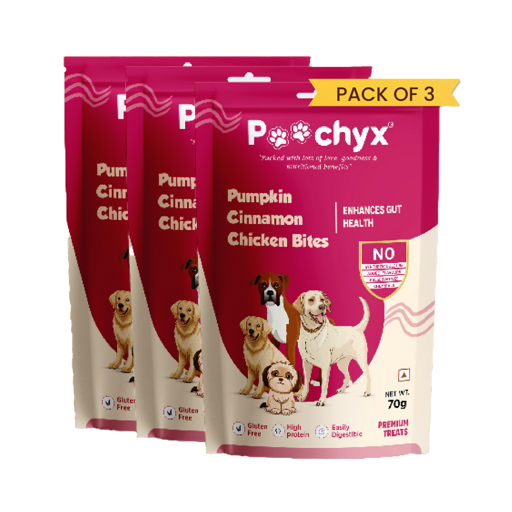 POOCHYX Pumpkin Cinnamon Chicken Bites - Enhances Gut Health