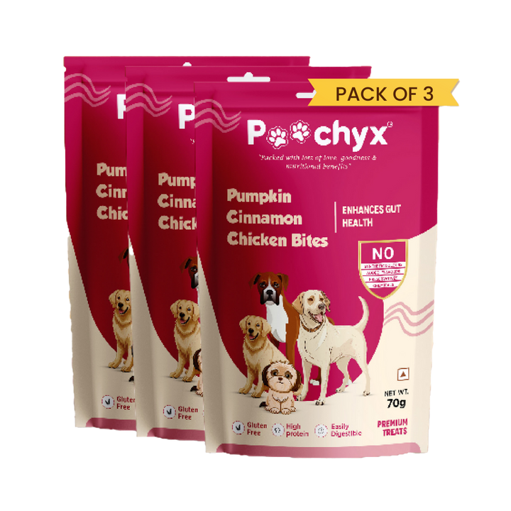 POOCHYX Pumpkin Cinnamon Chicken Bites - Enhances Gut Health