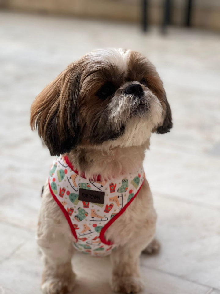 Winter wonderland Harness