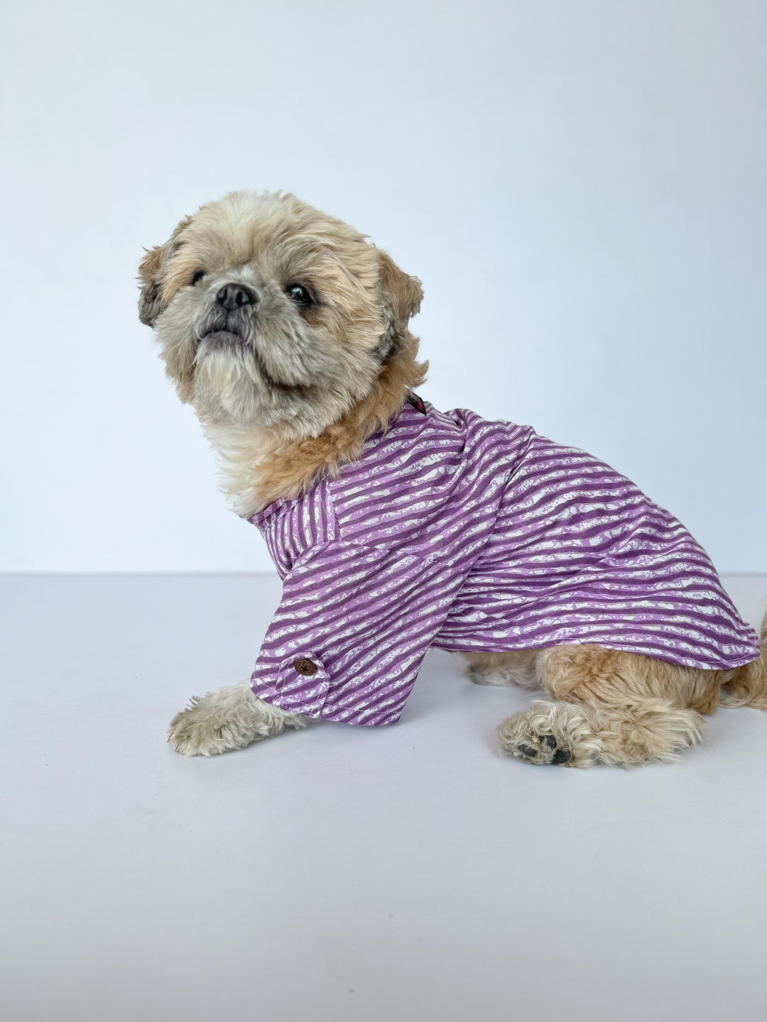 Pawgy Pets Lehriya Kurta: Purple for Dogs