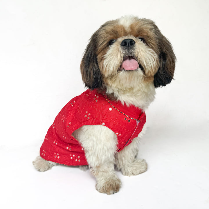 Pawgy Pets Festive Shirt Red Mirror Work for Dogs