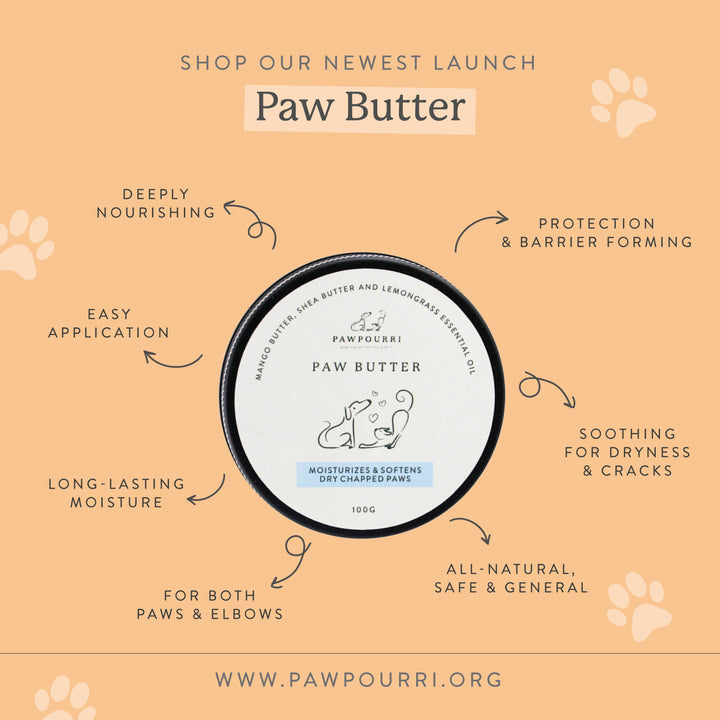 Paw Butter -100g