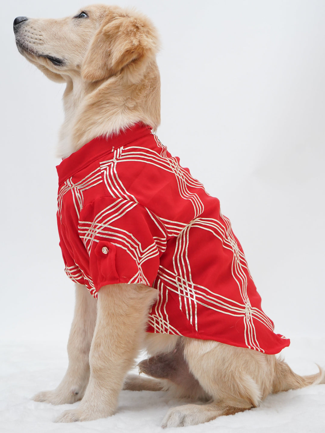 Pawgy Pets Festive Shirt Red Gota for Dogs