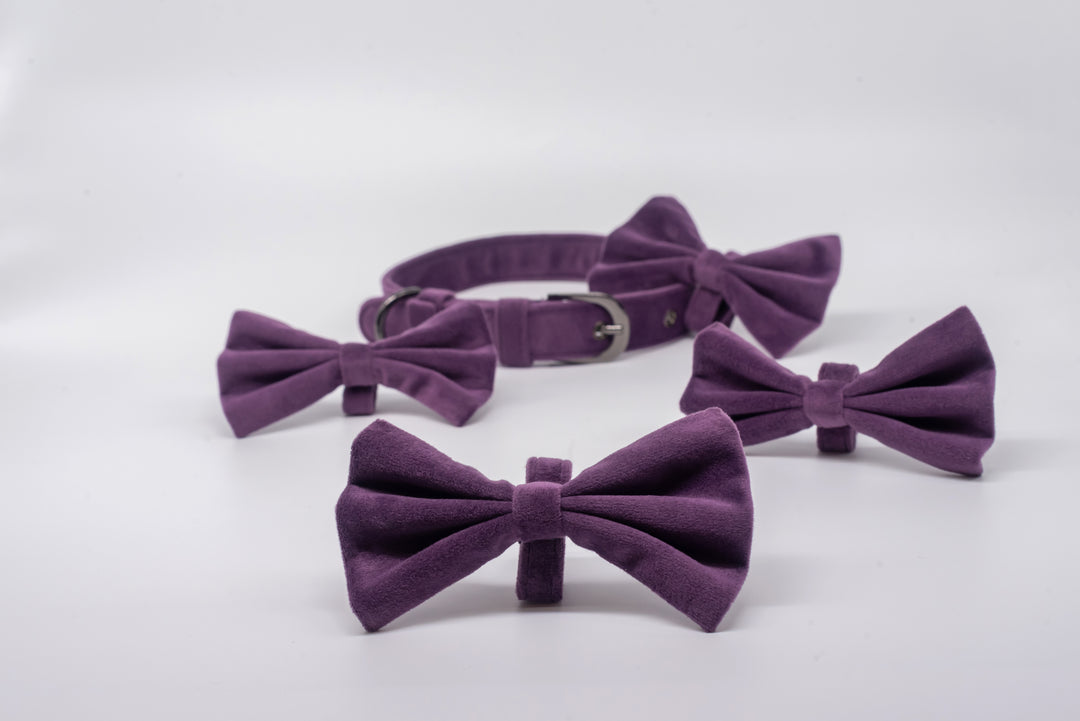 Suede Bow Tie