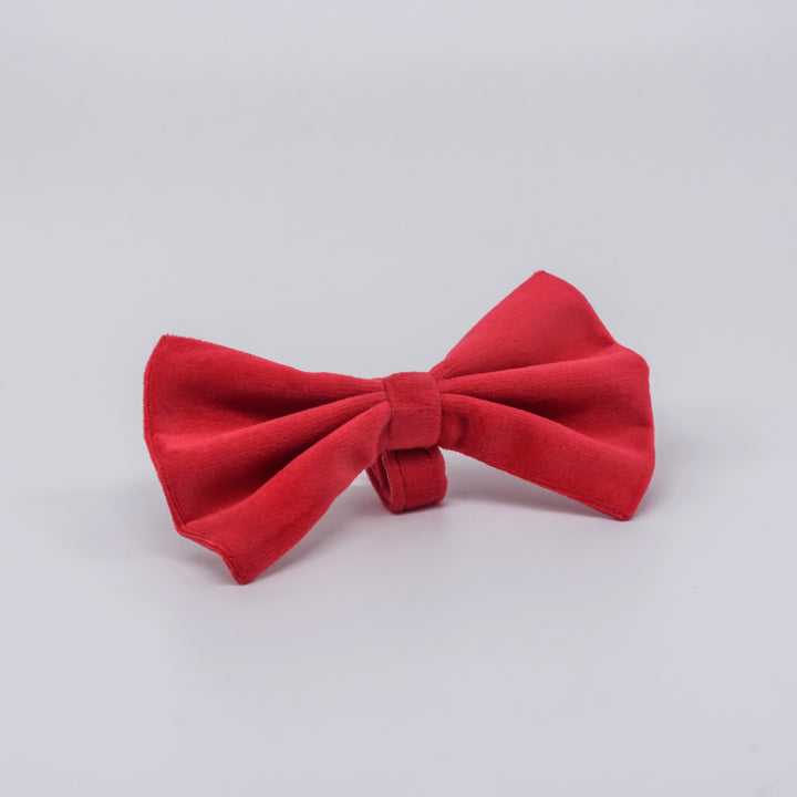 Suede Bow Tie