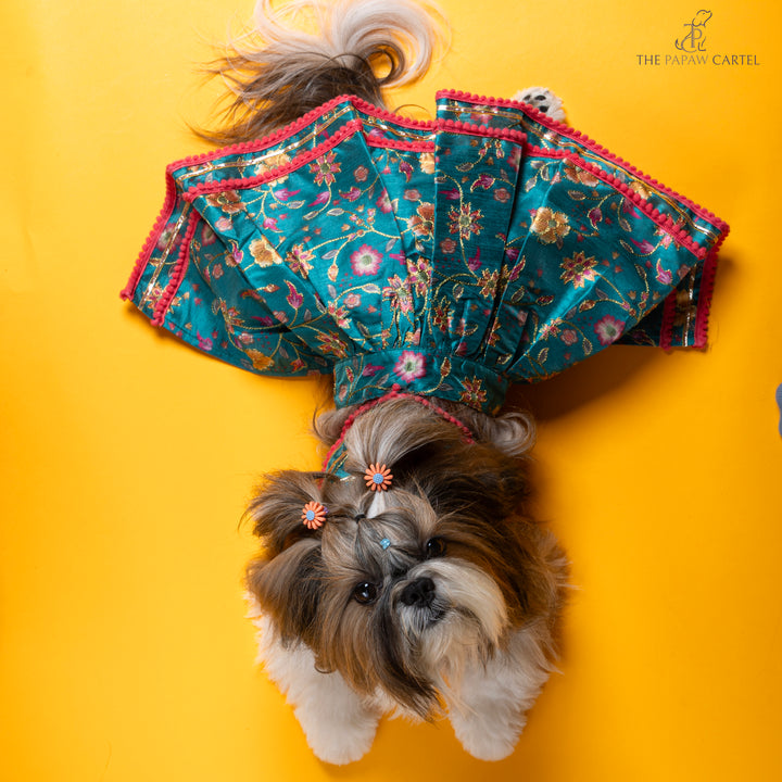 Dil Rooba floral teal ghagra choli for dogs