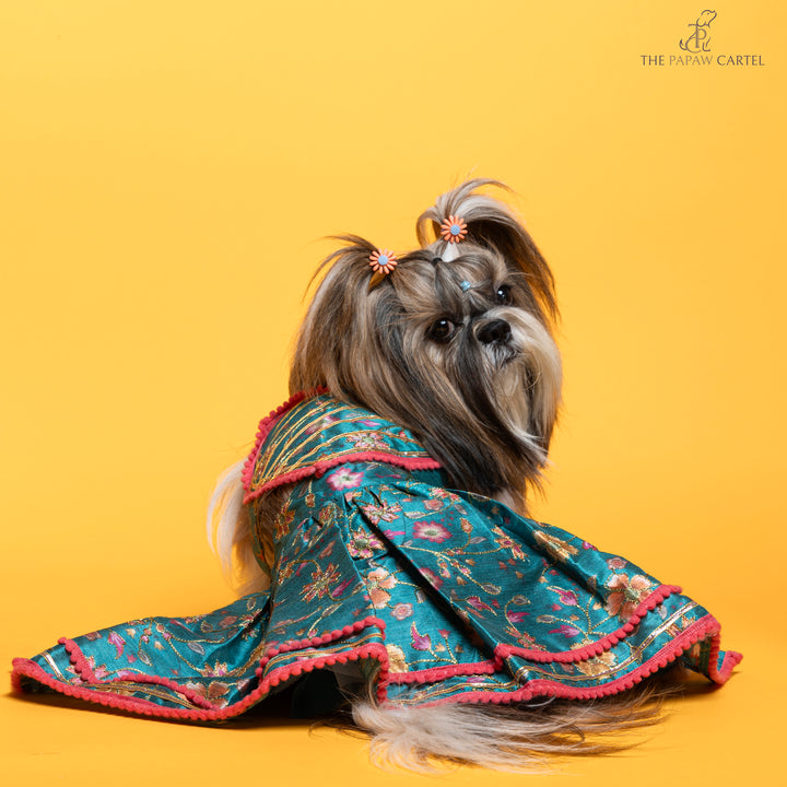 Dil Rooba floral teal ghagra choli for dogs