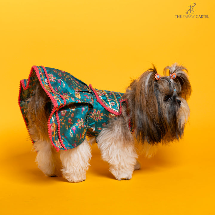 Dil Rooba floral teal ghagra choli for dogs