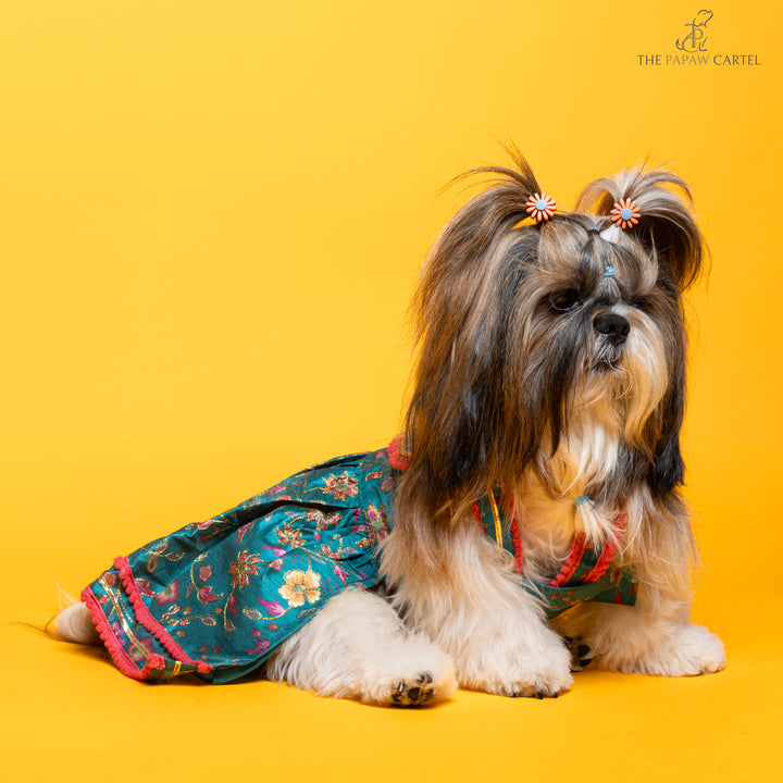 Dil Rooba floral teal ghagra choli for dogs