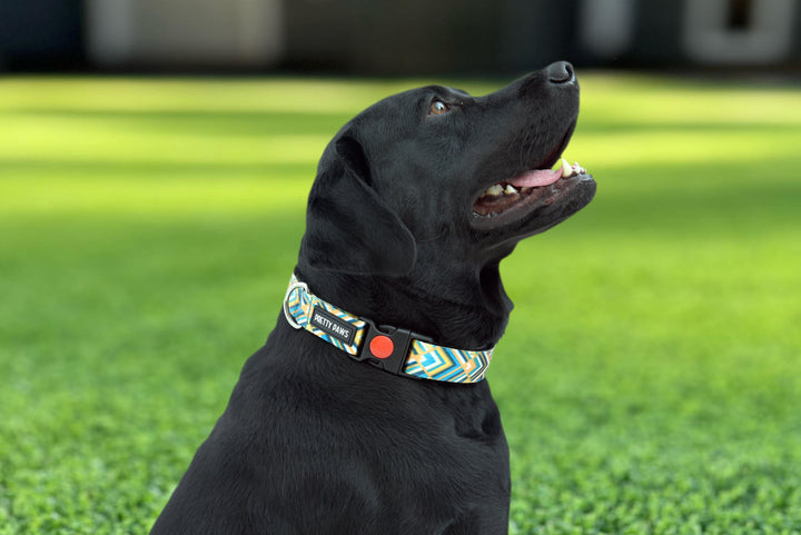 Printed Yellow Dog Collar