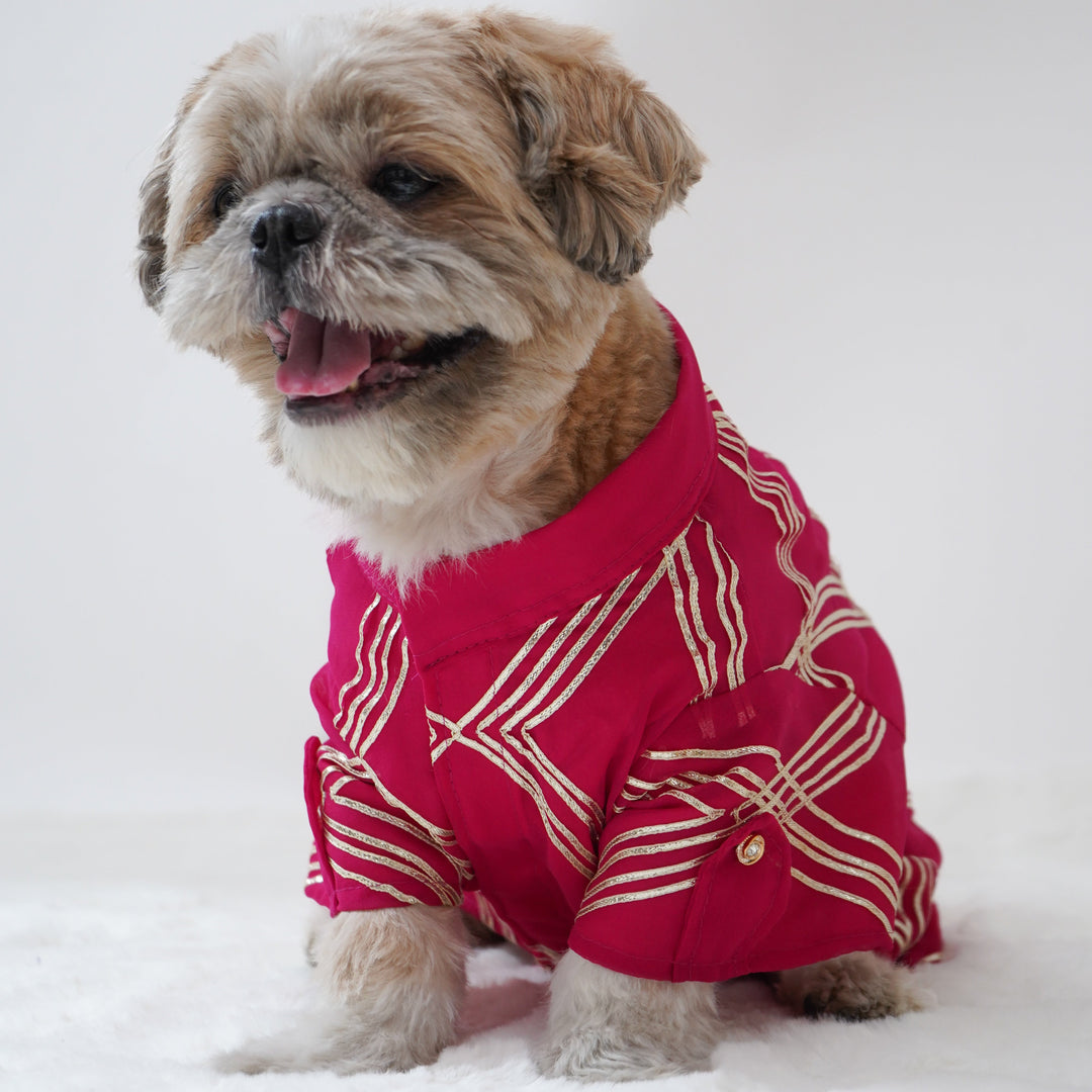 Pawgy Pets Festive Shirt Hot Pink Gota for Dogs