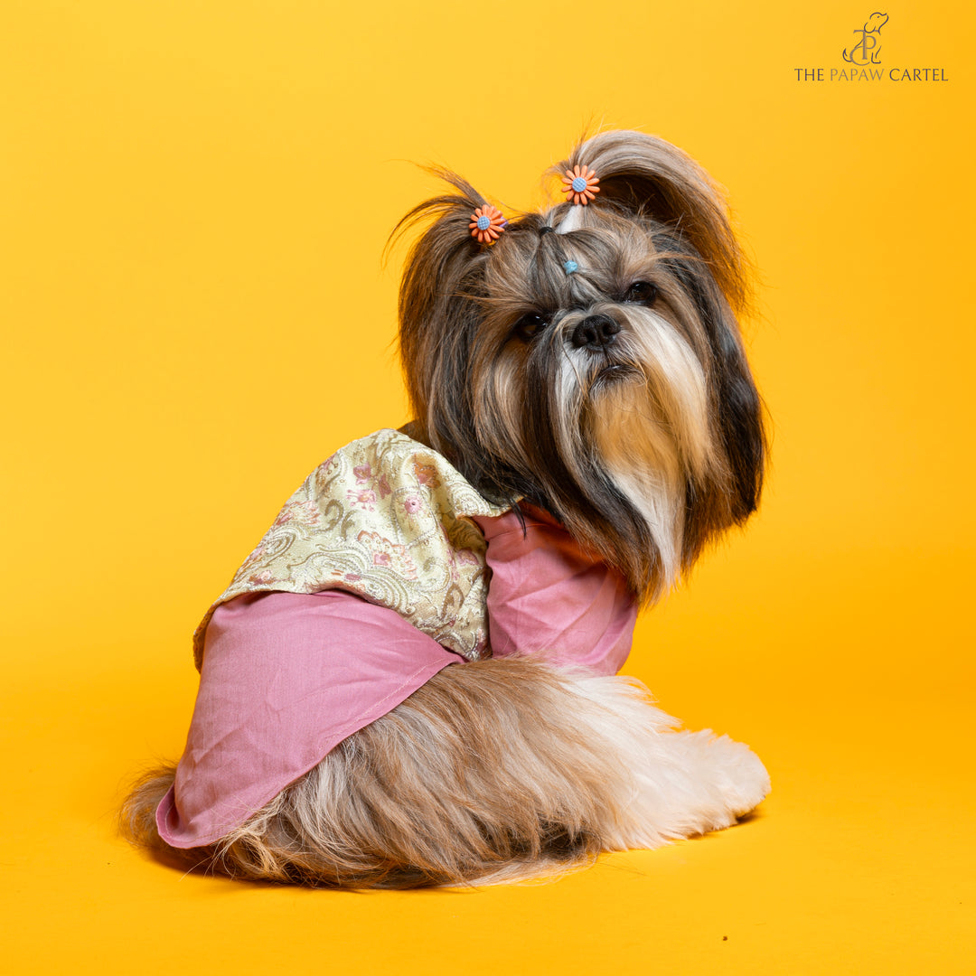 Floral Embroidered koti and pink kurta set for dogs