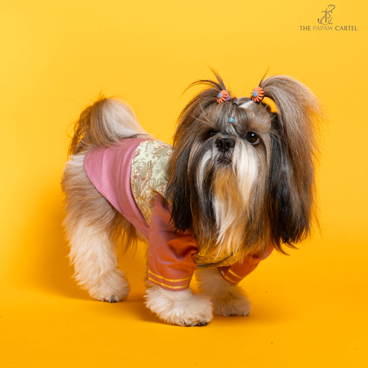 Floral Embroidered koti and pink kurta set for dogs