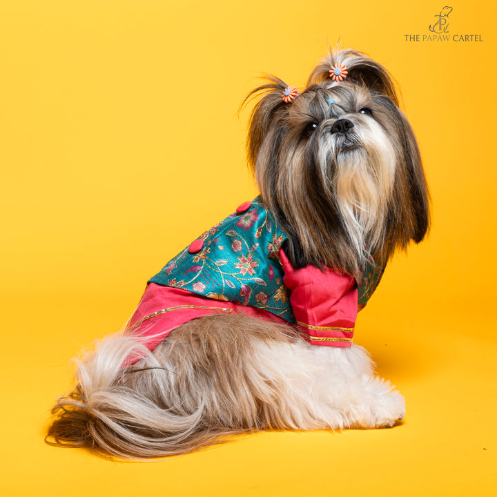 Fuschia pink kurta with contrasting floral teal koti for dogs