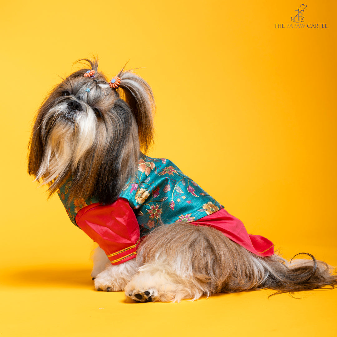 Fuschia pink kurta with contrasting floral teal koti for dogs