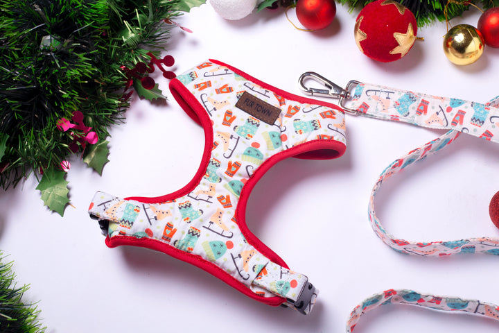 Winter wonderland Harness