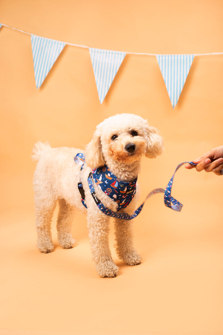 Seas the Day Harness