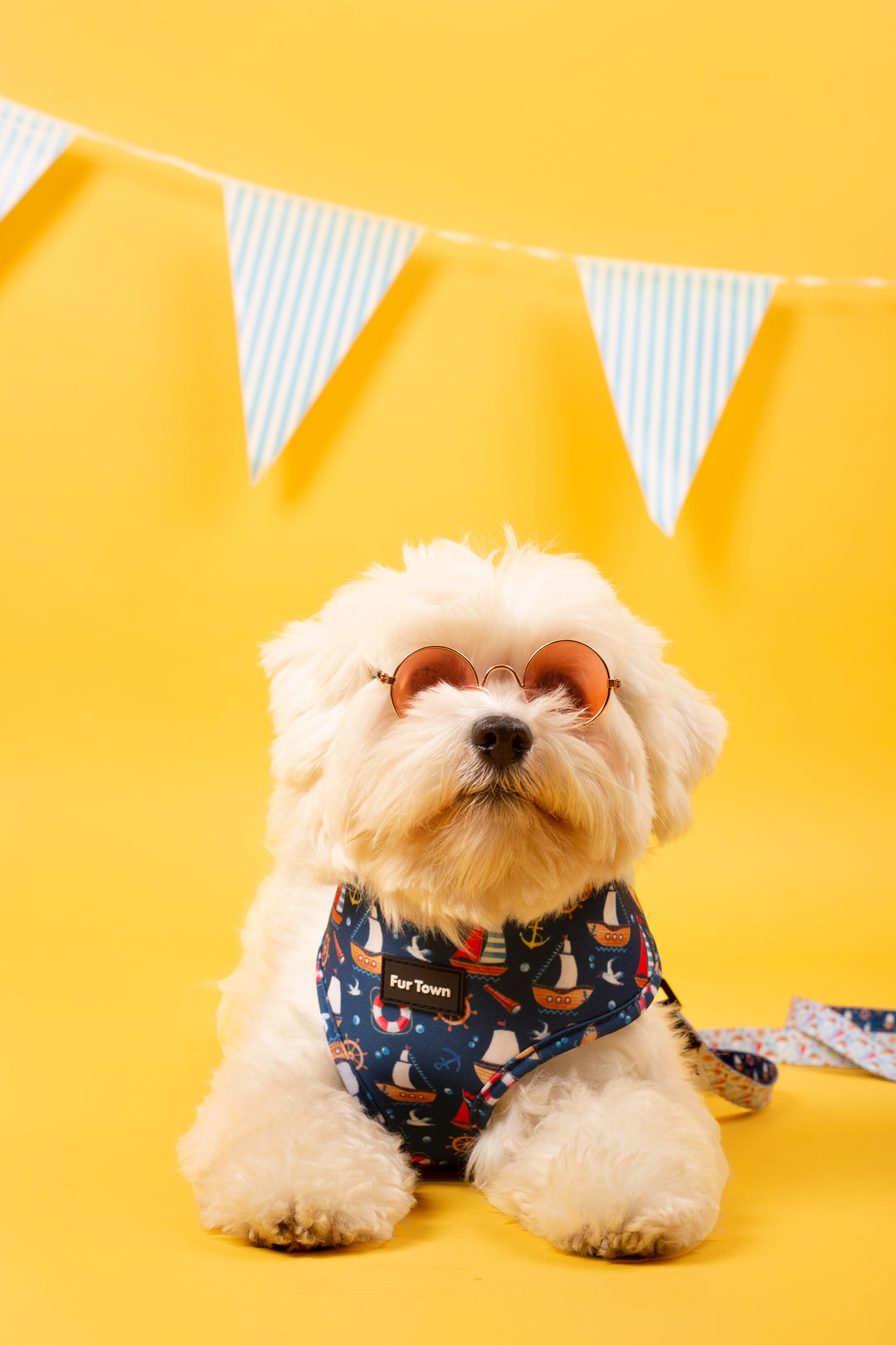 Seas the Day Harness