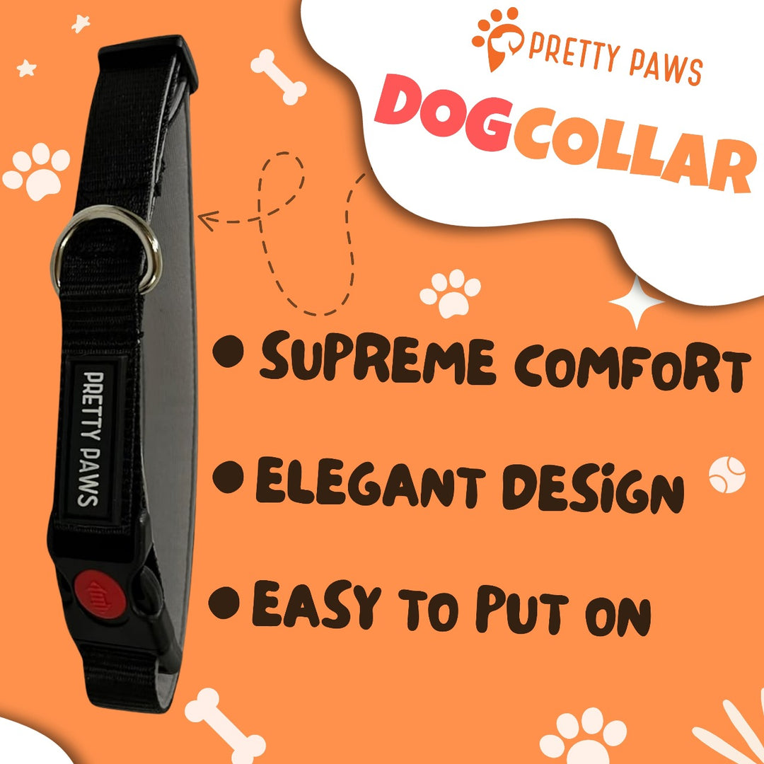 Solid Black Dog Collar