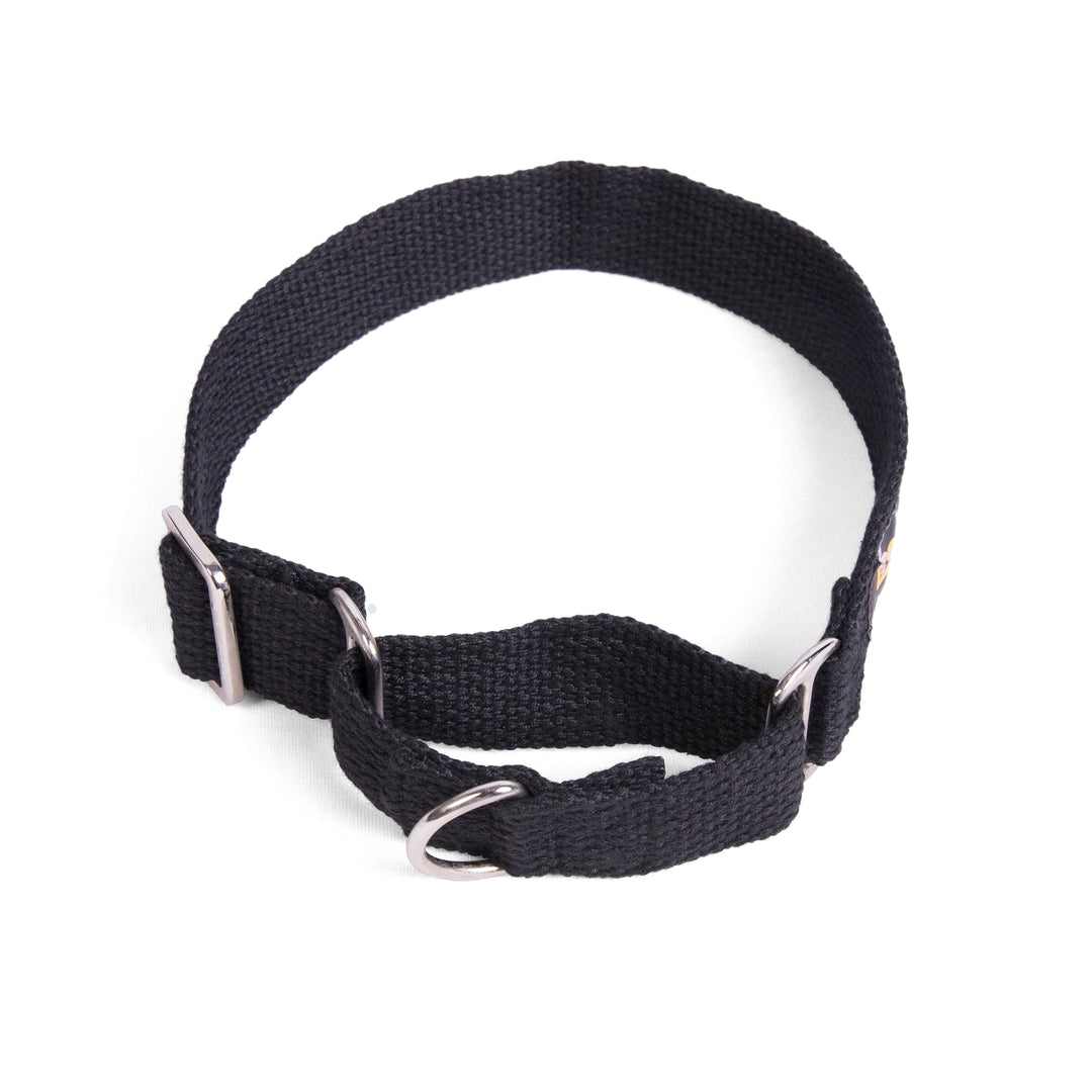 Martingale Collar