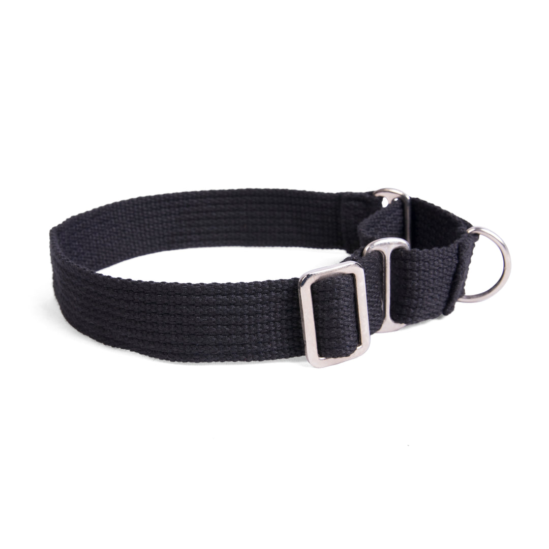 Martingale Collar