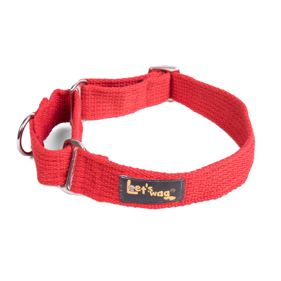 Martingale Collar