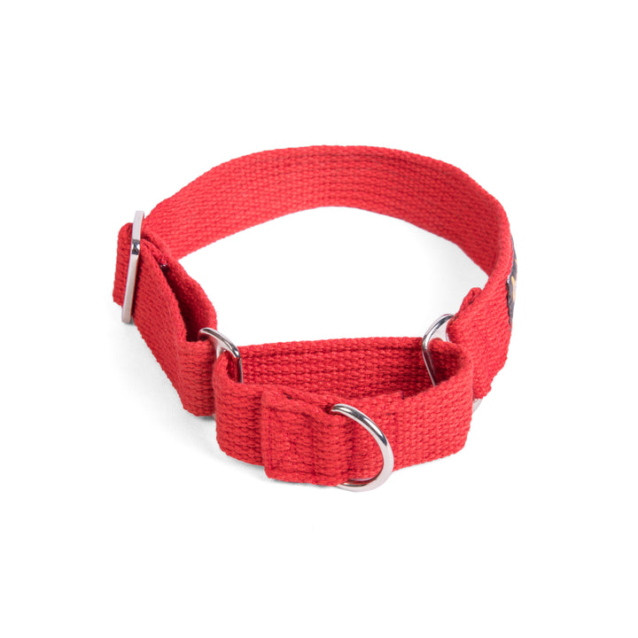 Martingale Collar