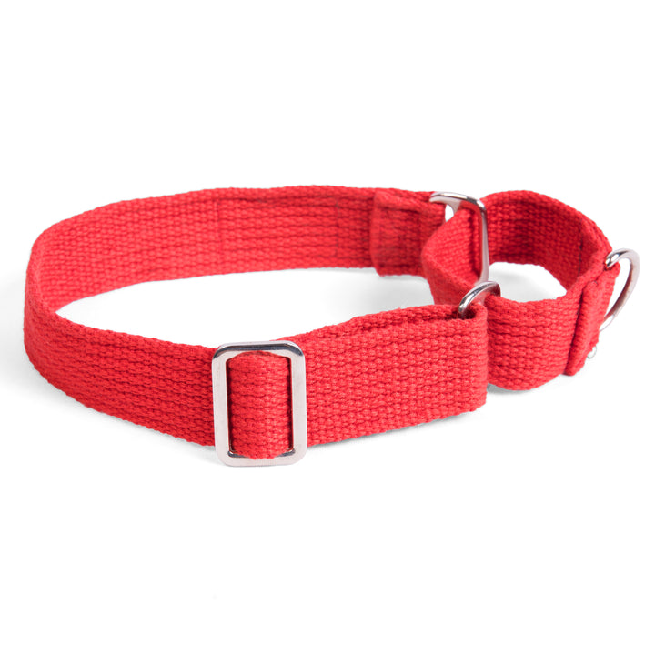 Martingale Collar