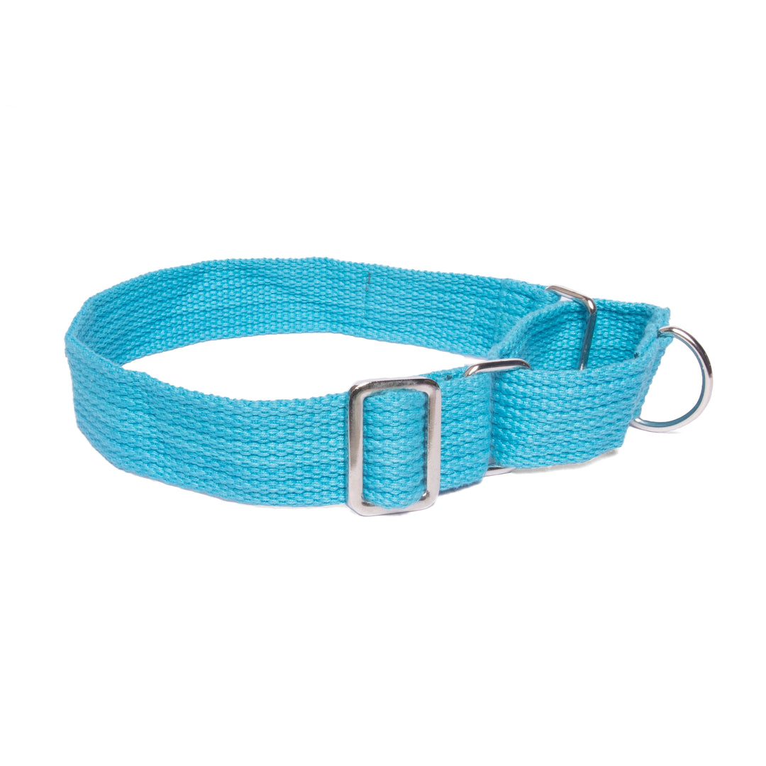 Martingale Collar