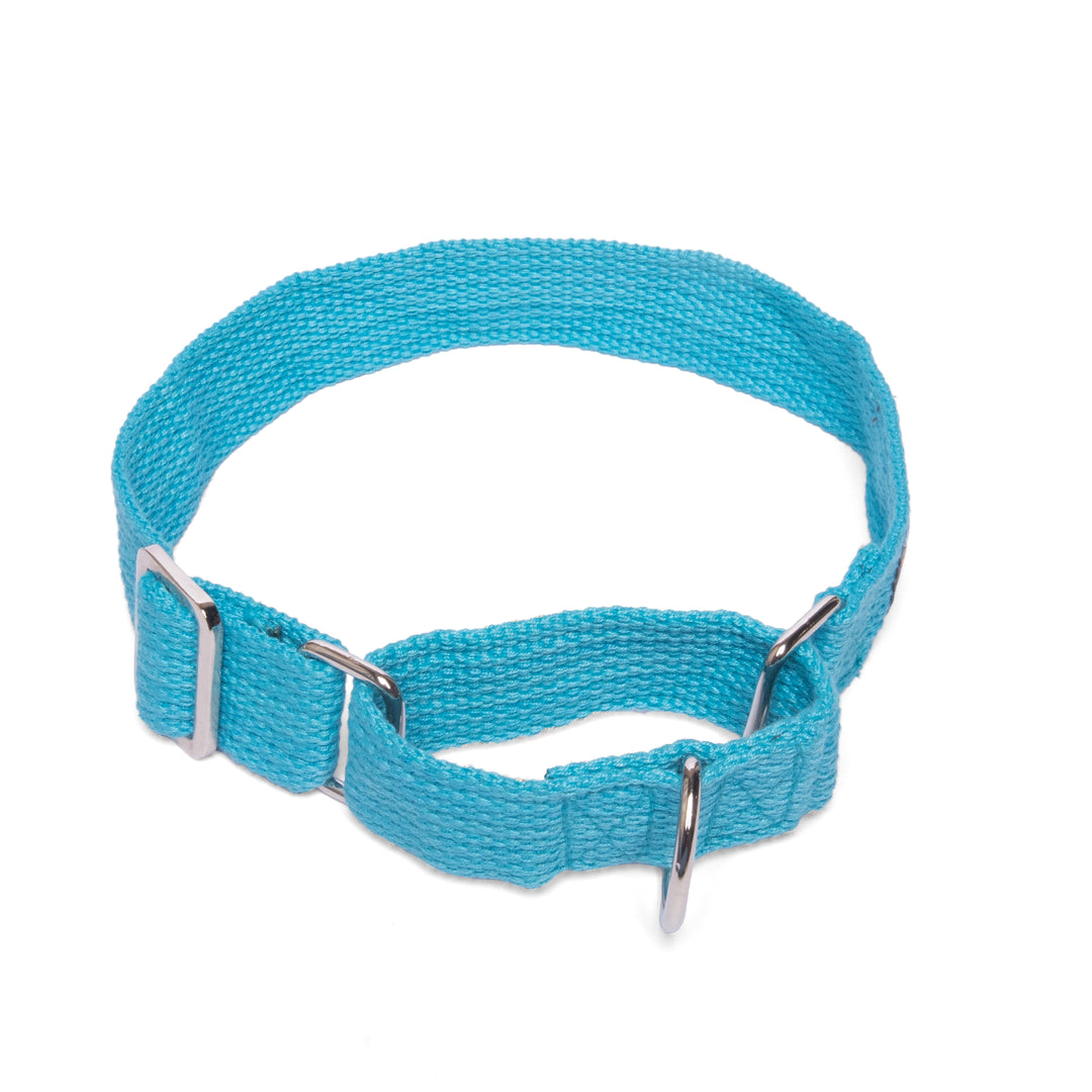 Martingale Collar