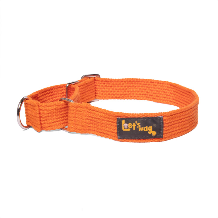 Martingale Collar