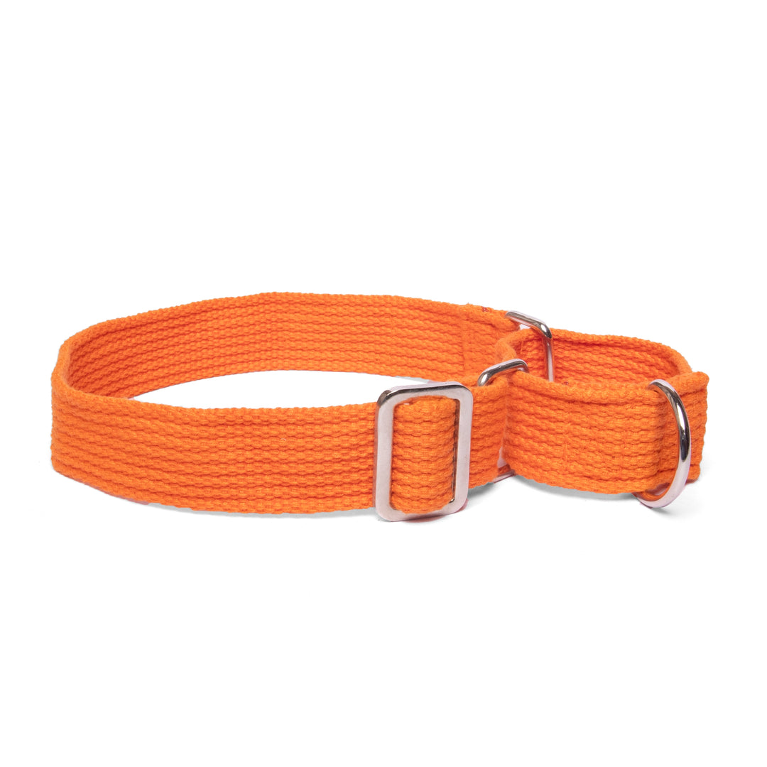 Martingale Collar