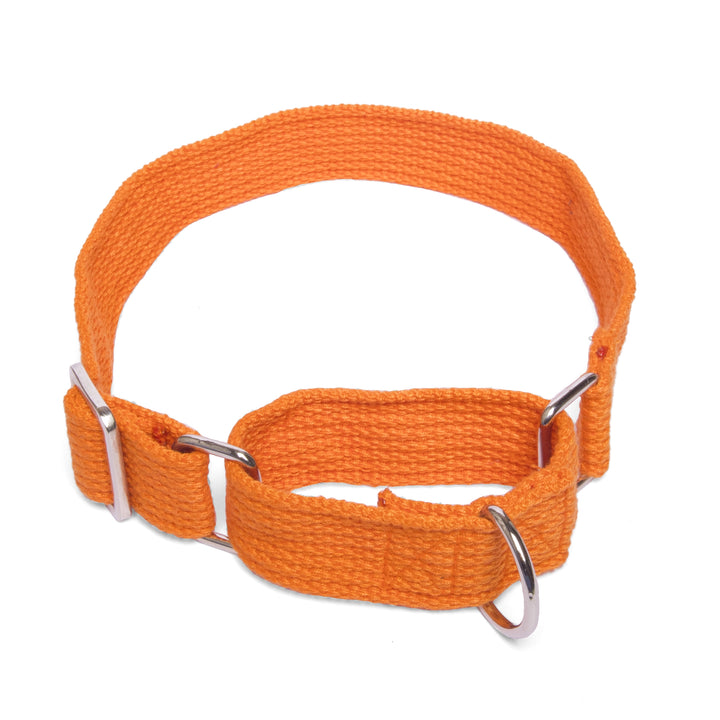 Martingale Collar