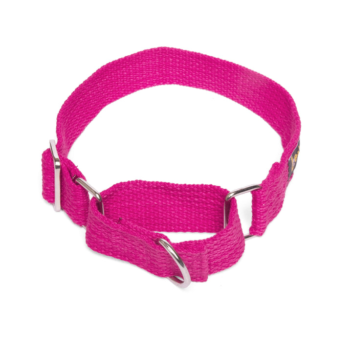 Martingale Collar