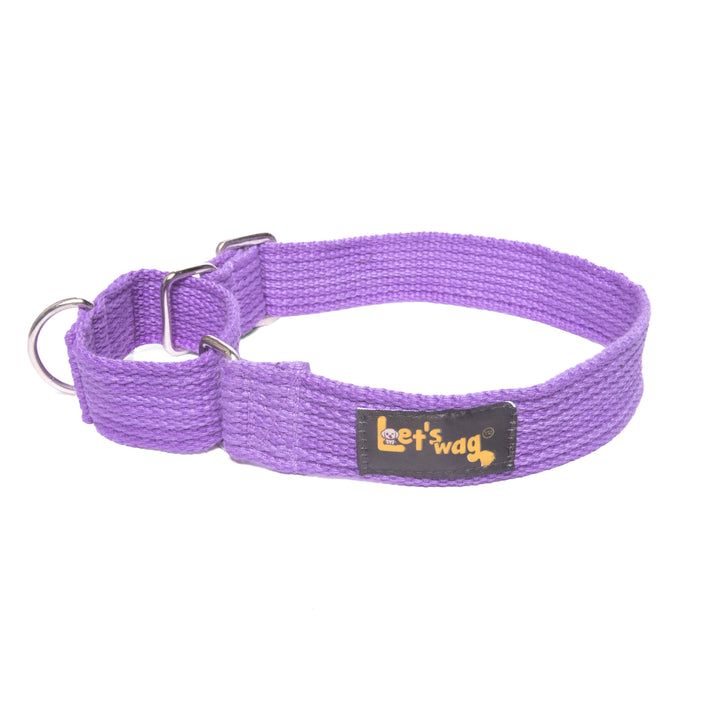 Martingale Collar