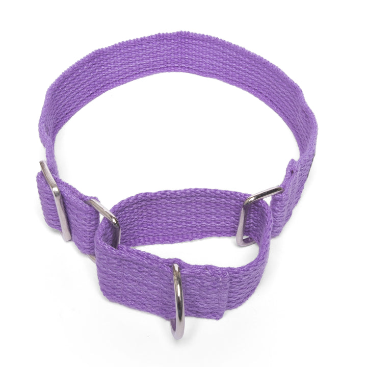 Martingale Collar