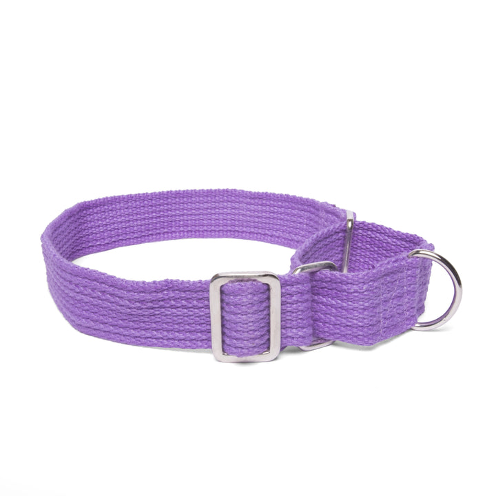 Martingale Collar