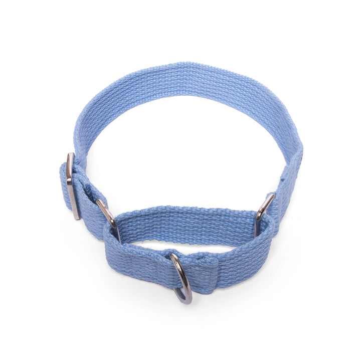 Martingale Collar