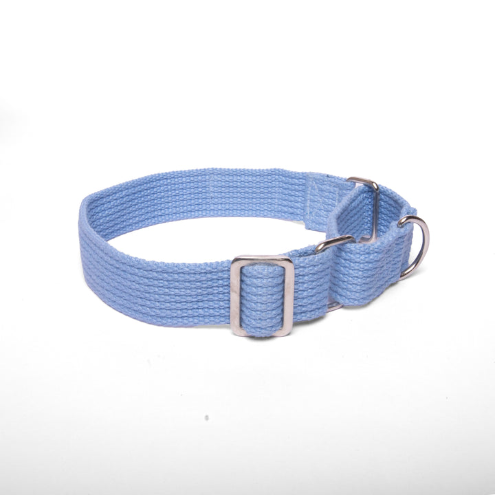 Martingale Collar