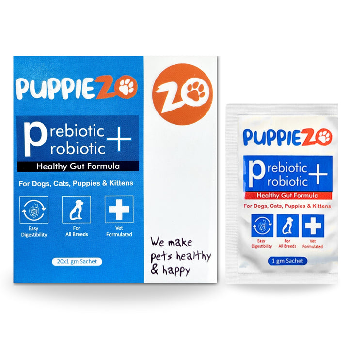 Pre & Probiotic Powder Supplements for Cats and Dogs