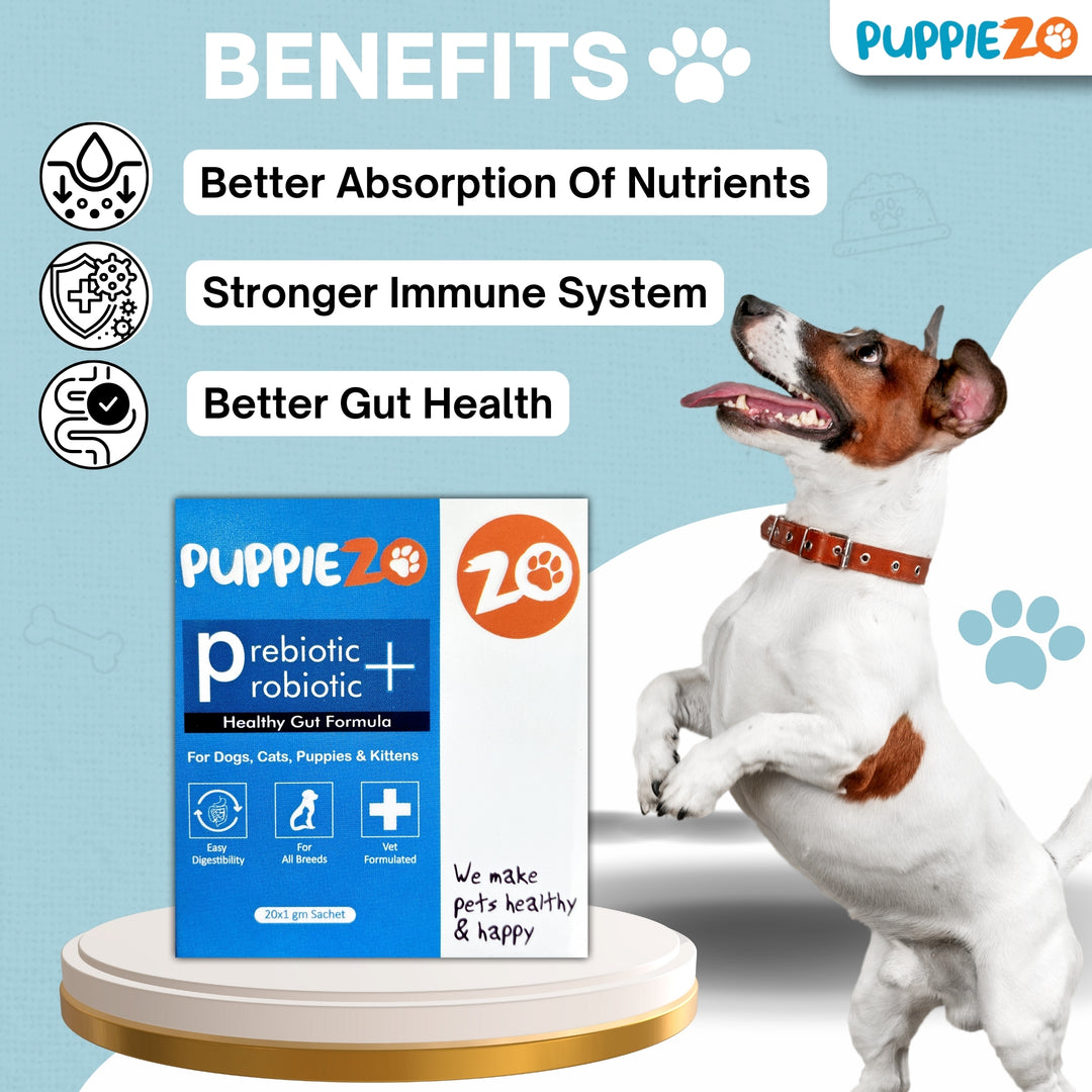 Pre & Probiotic Powder Supplements for Cats and Dogs